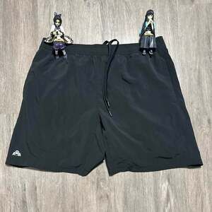 Eastern Mountain Sports Black Athletic Performance Shorts, Men's Size L